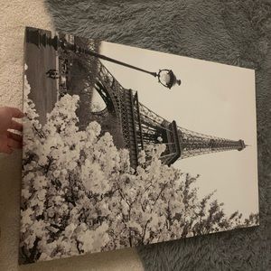 Paris canvas